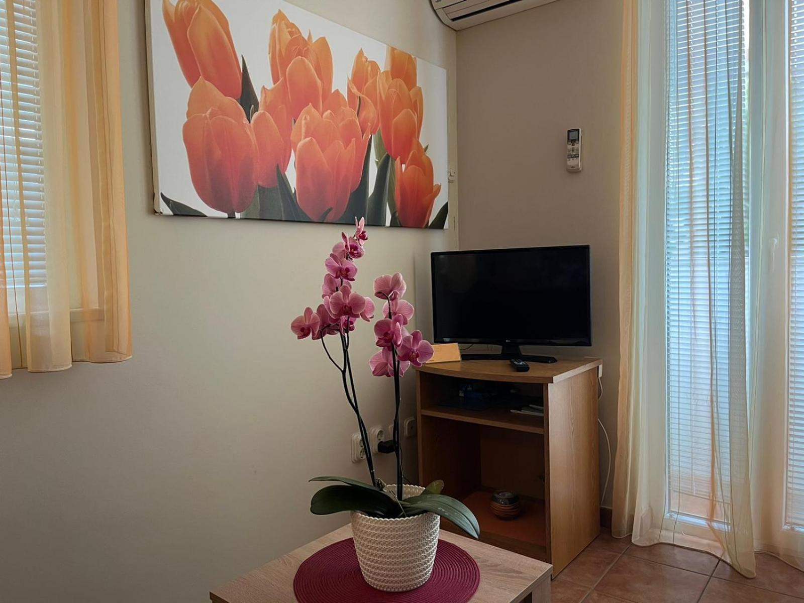 Family Apartments Suzi Rovinj Exterior foto